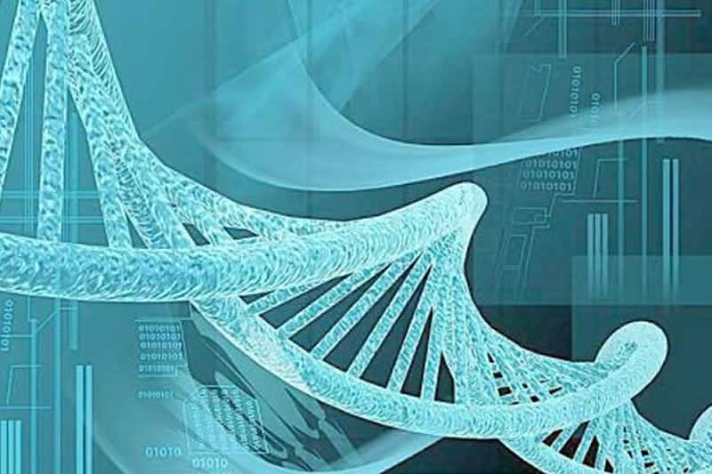 第二代试管婴儿(ICSI)费用_流程_适应人群介绍(图1) 第二代试管婴儿(ICSI)费用_流程_适应人群介绍(1)
