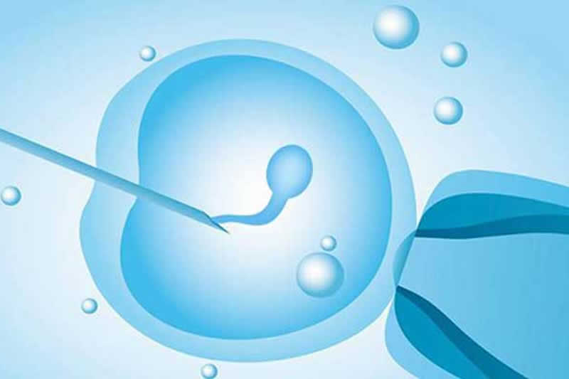 第一代试管婴儿(IVF)流程_成功率_费用_适用人群介绍(图2) 第一代试管婴儿(IVF)流程_成功率_费用_适用人群介绍(2)