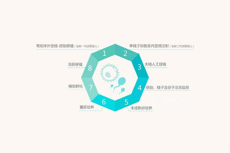 第一代试管婴儿(IVF)流程_成功率_费用_适用人群介绍(图5) 第一代试管婴儿(IVF)流程_成功率_费用_适用人群介绍(5)