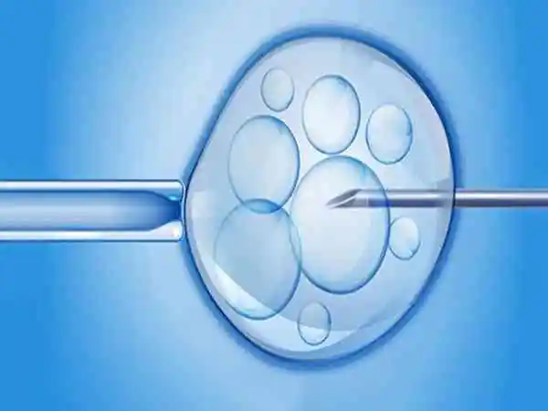 取卵无痛费用和有痛费用相差多少(1) 取卵无痛费用和有痛费用相差多少(1)